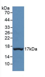 39721