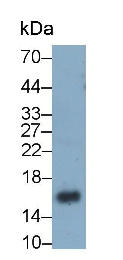 28414