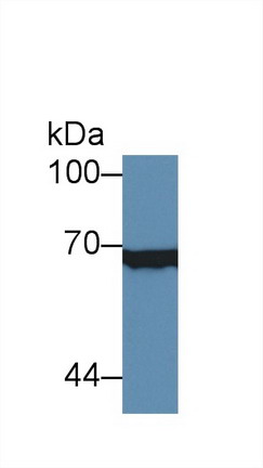 8400
