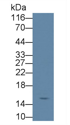 60476