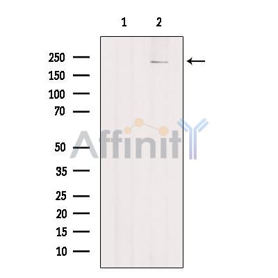 Валидация Affinity DF9841 - 22743