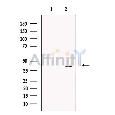 Валидация Affinity DF7423 - 19163