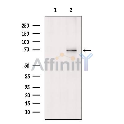 Валидация Affinity DF8072 - 19909