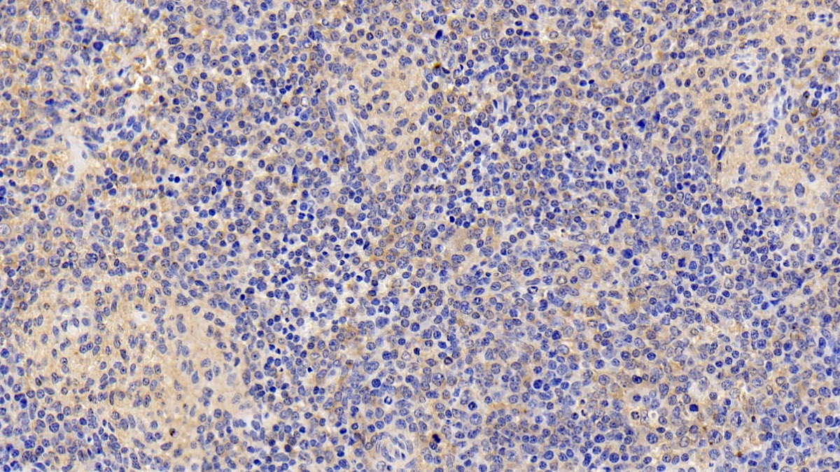 22908