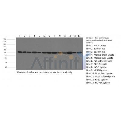 Валидация Affinity T0022 - 23064