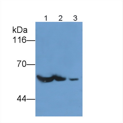 7973