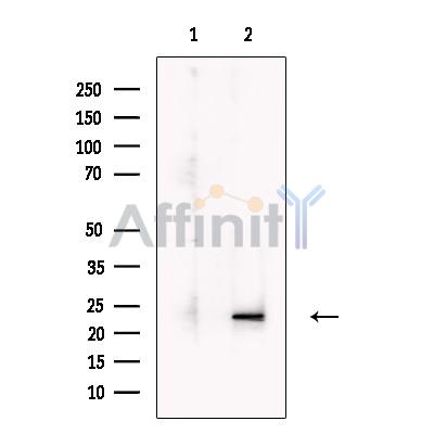 Валидация Affinity DF13730 - 9367