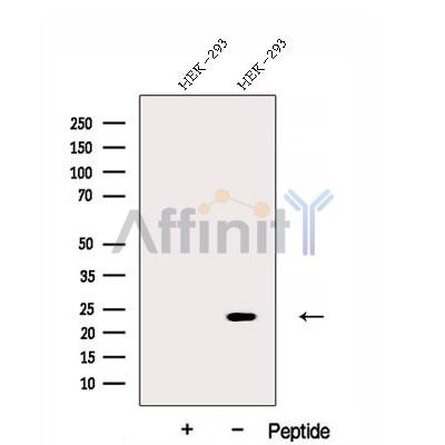 Валидация Affinity DF12949 - 7713