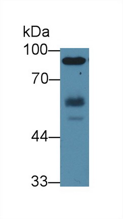 8739