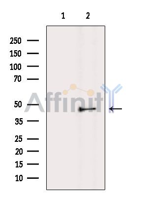 Валидация Affinity DF15270 - 11558