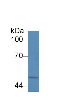 13689