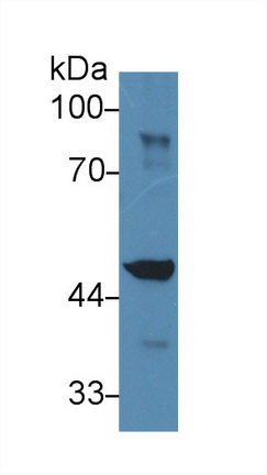 10285