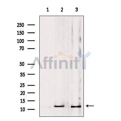 Валидация Affinity DF9113 - 21422