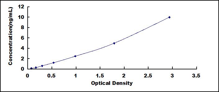 59577