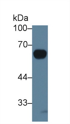 9408