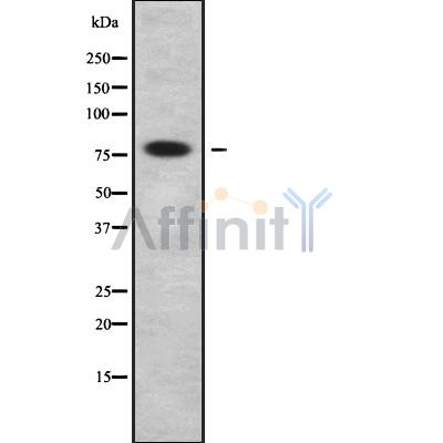 Валидация Affinity DF10118 - 5627