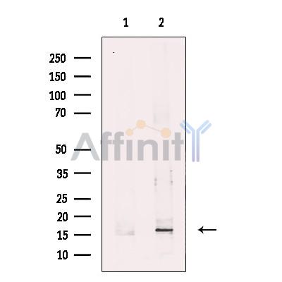 Валидация Affinity DF12318 - 6711