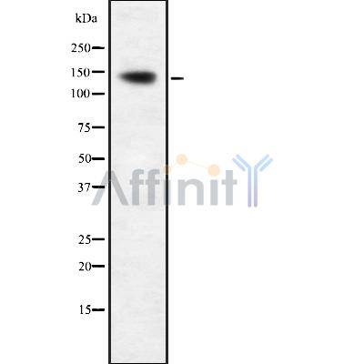 Валидация Affinity DF8841 - 20917