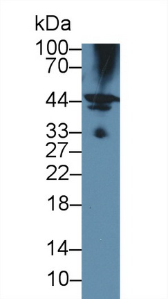 12566