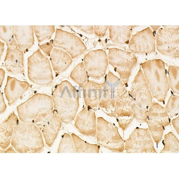 Валидация Affinity DF8894 - 21006