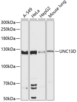 Валидация Elabscience E-AB-64476