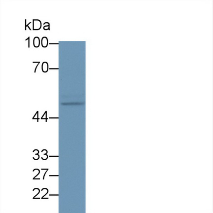 19030