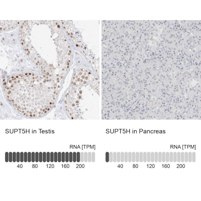 Валидация AssayVector ARM2352(4092)
