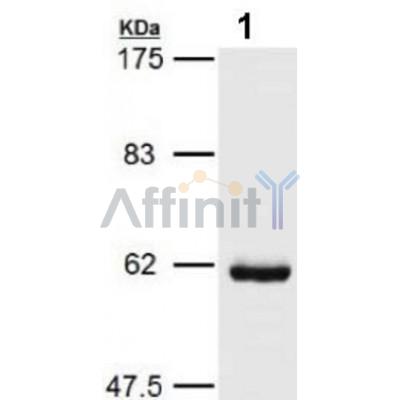 Валидация Affinity AF5374 - 2996