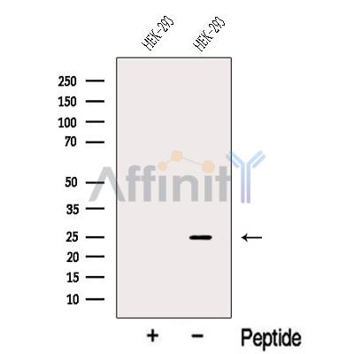 Валидация Affinity DF12605 - 7230