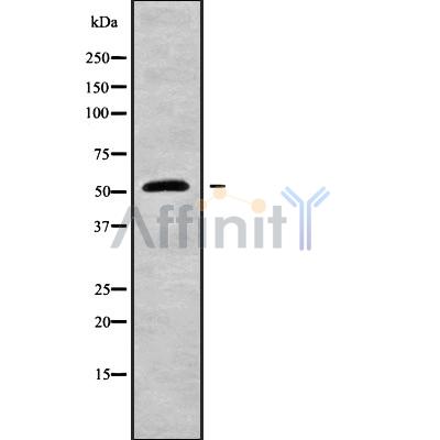 Валидация Affinity DF9012 - 21228