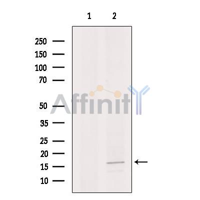 Валидация Affinity DF2318 - 12890