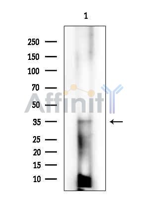 Валидация Affinity DF10214 - 5777