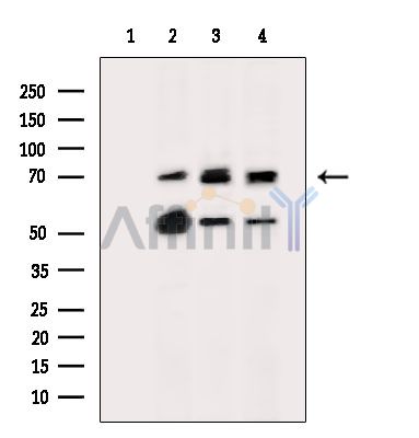 Валидация Affinity DF2533 - 13192