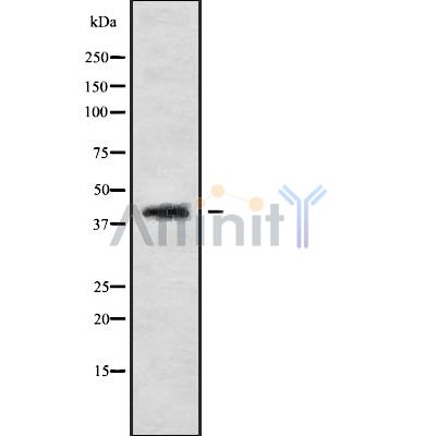 Валидация Affinity DF9304 - 21766