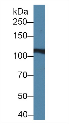 10340