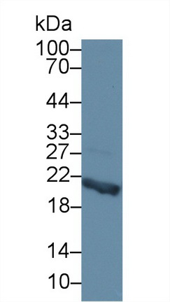 14733