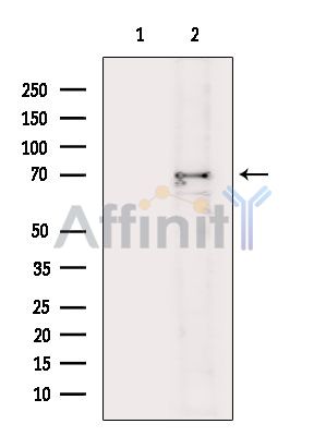 Валидация Affinity DF4255 - 15642