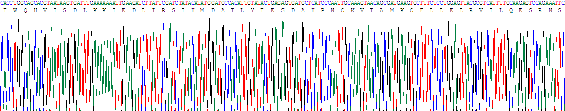 20941