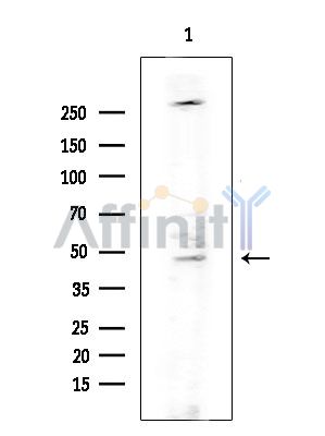Валидация Affinity DF3851 - 14986
