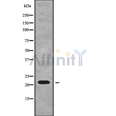 Валидация Affinity DF9127 - 21447