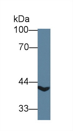 12837