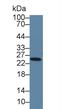10140