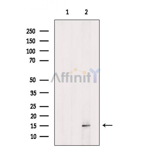 Валидация Affinity AF6739 - 3989