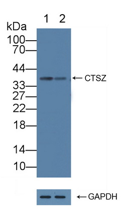 12250