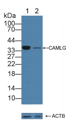 12203