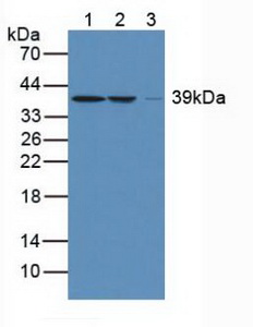 5474