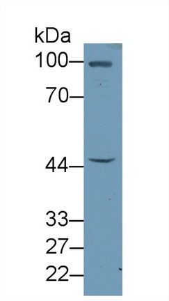 17653