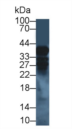 12770