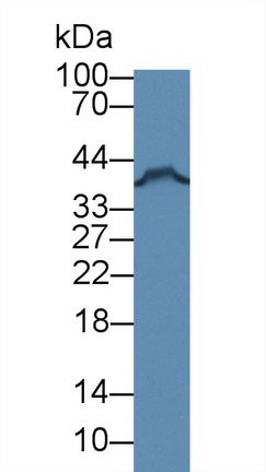 8803