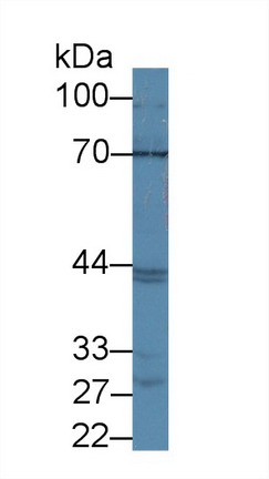 8535